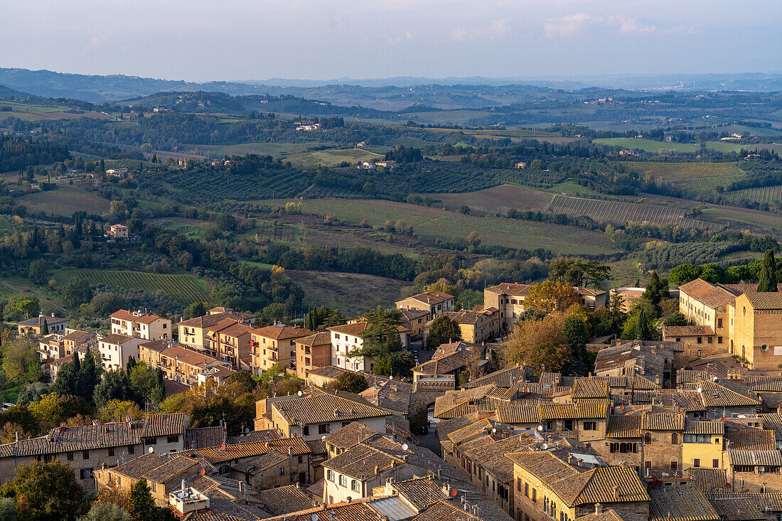 Agricultural land with grape vinyards & olive orchards behind the rooftops of San Gimignano, Italy.