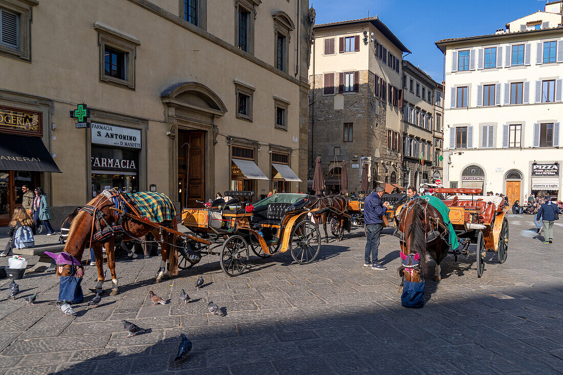 Horse-drawn carriages for tourists in the Piazza San Giovanni in historic Florence, Italy.