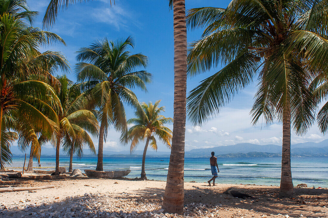 Palm trees on the beach in Cayes-à-L’eau, a fishermen islet located northeast of Caye Grand Gosie, Île-à-Vache, Sud Province, Haiti