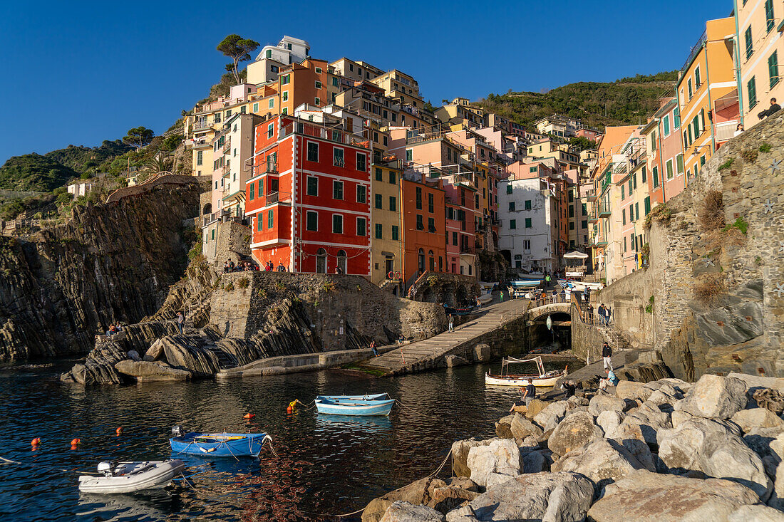 Colorful buildings overlooking the harbor in Riomaggiore, Cinque Terre, Italy.