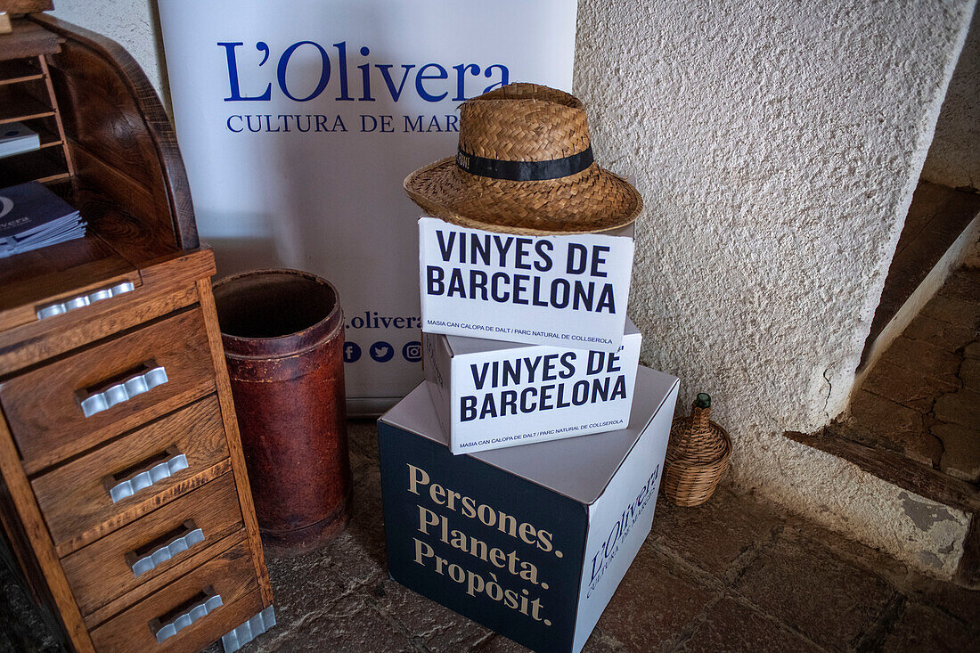 Stiftung Can Calopa l'olivera, Collserola, Barcelona, Spanien, Europa. Die Stiftung l'olivera hat sich zum Ziel gesetzt, die persönliche und soziale Integration von Menschen mit Behinderungen zu fördern, indem sie Betreuungs-, Therapie- und Bildungsangebote in einem integrativen Lebens- und Arbeitsumfeld entwickelt.