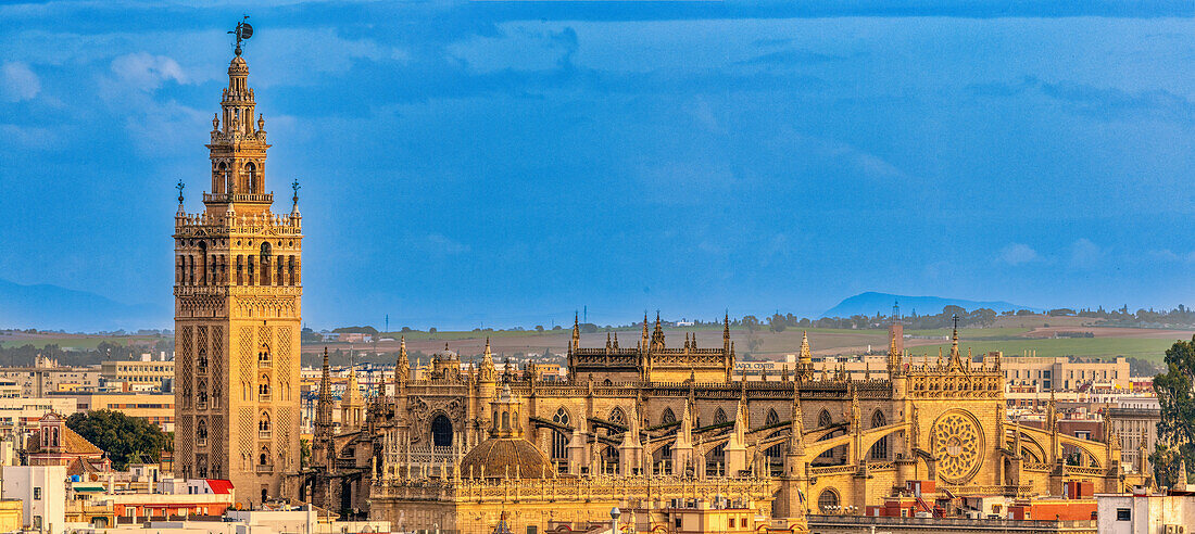 Erkunden Sie die malerische Kathedrale von Sevilla und den Giralda-Turm mit ihren goldenen Details und der blauen Kulisse.