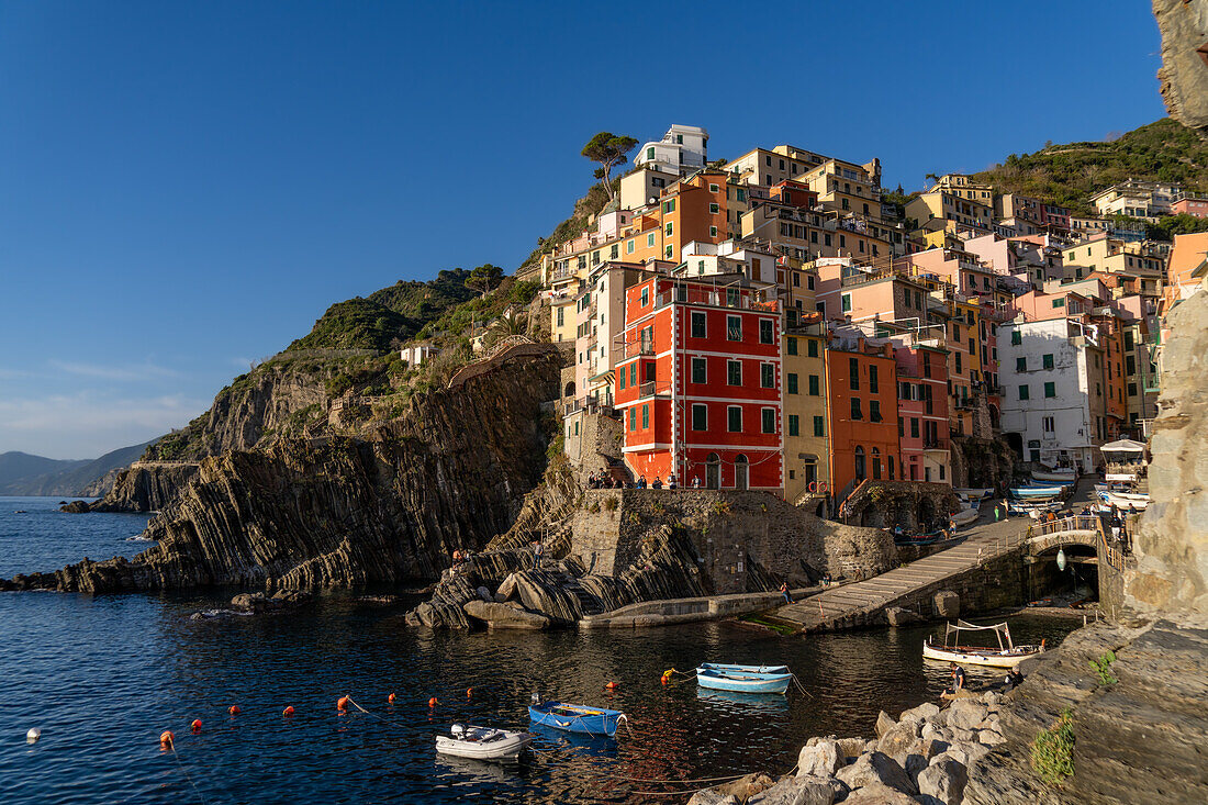 Bunte Gebäude mit Blick auf den Hafen in Riomaggiore, Cinque Terre, Italien.