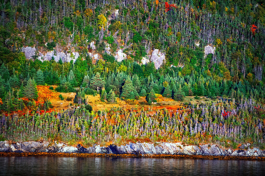 Norris Point mountains in autumn, Bonne Bay and Woody Point seen from the view point at the Jenniex House in Gros Morne National Park, Newfoundland & Labrador, Canada