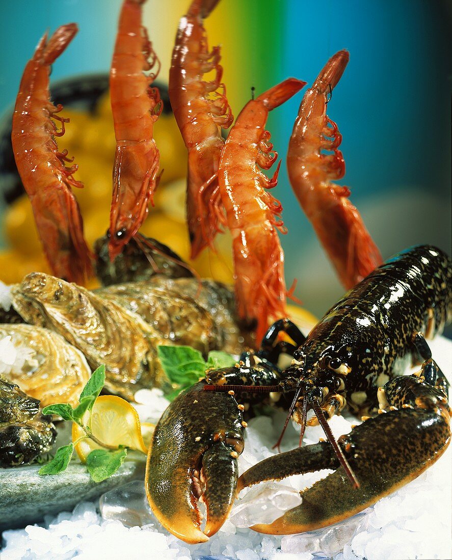 Assorted Crustaceans and Shellfish