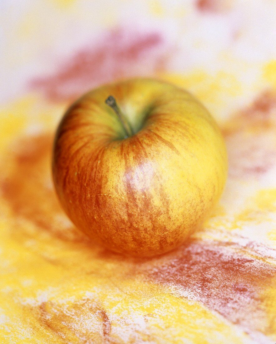 Ein Apfel der Sorte Jonagold auf rot-gelbem Untergrund