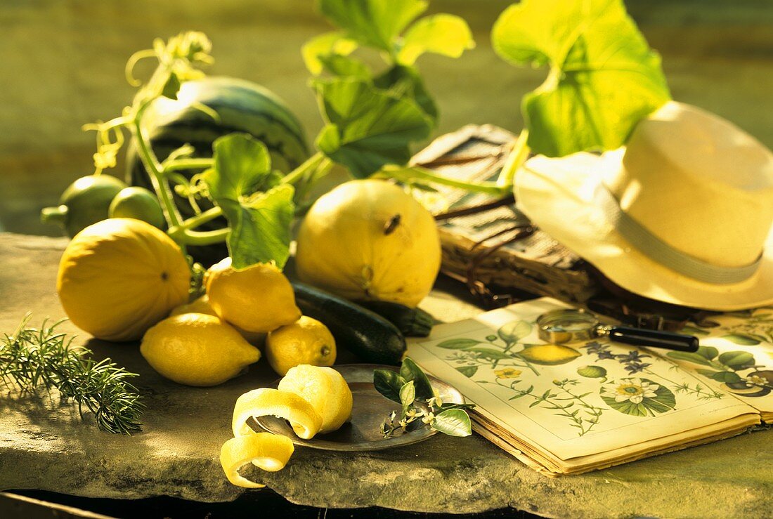 Sommerliches Arrangement von Melonen und Zitronen