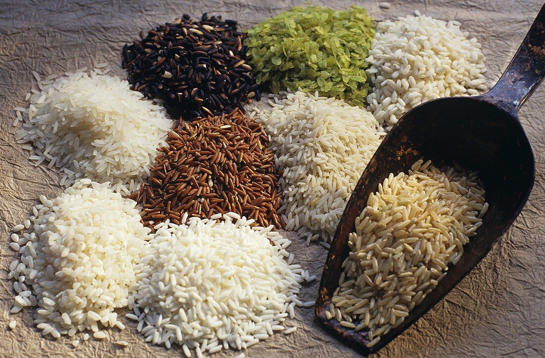 Verschiedene Reissorten auf Häufchen und auf Schaufel