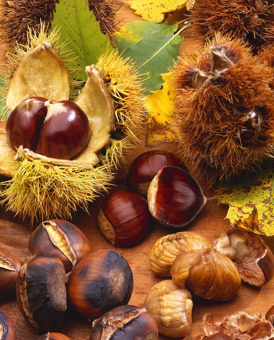 Sweet chestnuts, with & without shells & roasted