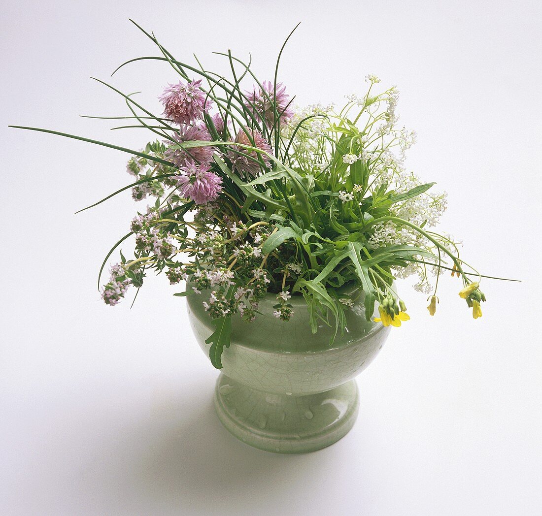 Flowering herb bouquet in a white vase