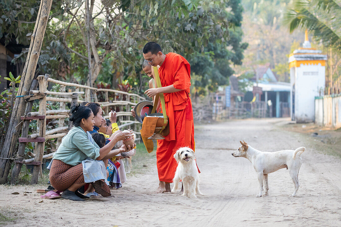 Einheimische Frauen bringen buddhistischen Mönchen Reisopfer, frühmorgens, Insel Don Daeng, Mekong-Fluss, Muang, nahe Pakse, Provinz Champasak, Laos