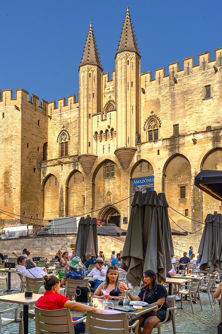 Palace of the Popes, UNESCO, Avignon, Provence-Alpes-Cote d'Azur, Rhone Valley, France