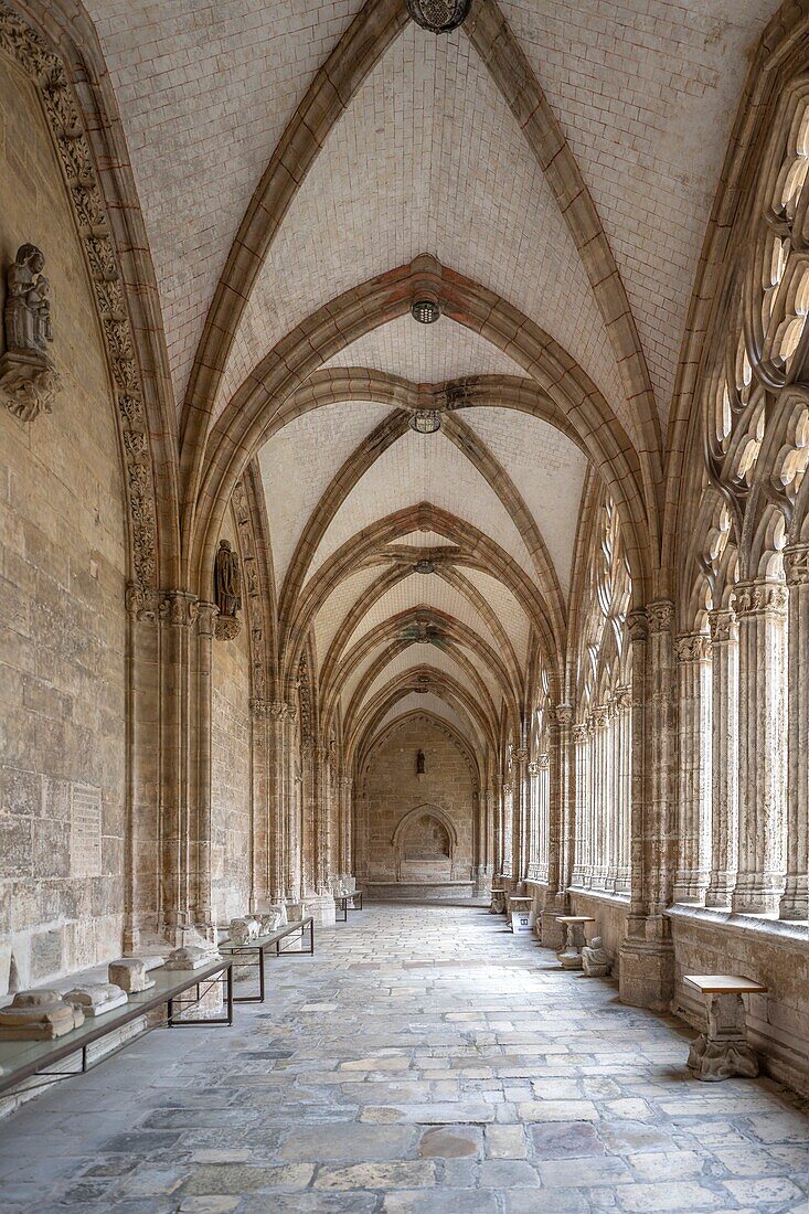 Cathedral of the Holy Savior, Oviedo, Asturias, Spain