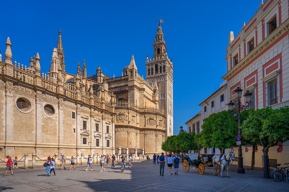 Seville Cathedral (Cathedral of Santa Maria de la Sede of Seville), former ancient Almohad mosque, UNESCO, Seville, Andalusia, Spain