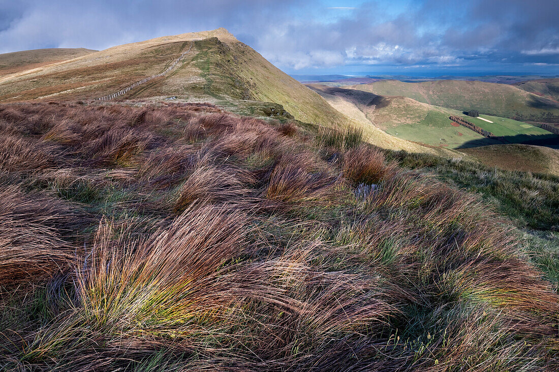 Bunte Gräser und Cadair Berwyn, Berwyn Mountains, Denbighshire, Nordwales, Vereinigtes Königreich, Europa