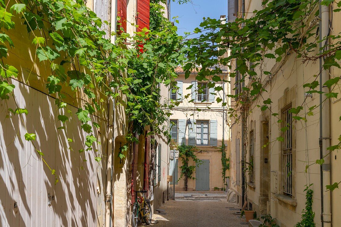 Arles, Bouches du Rhone, Provence-Alpes-Cote d'Azur, France