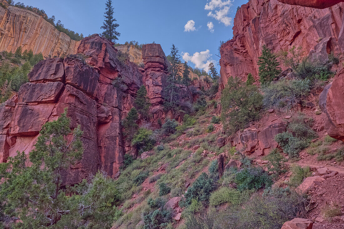 Red Wall cliffs of Roaring Springs Canyon on North Kaibab Trail, Grand Canyon North Rim, UNESCO, Arizona, United States of America