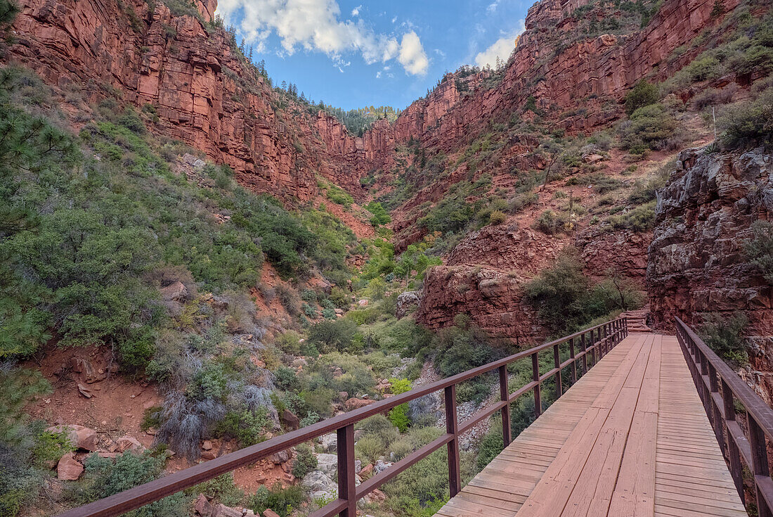 View of the Roaring Springs Canyon cliffs from the Red Wall Bridge, Grand Canyon North Rim, UNESCO, Arizona, United States of America