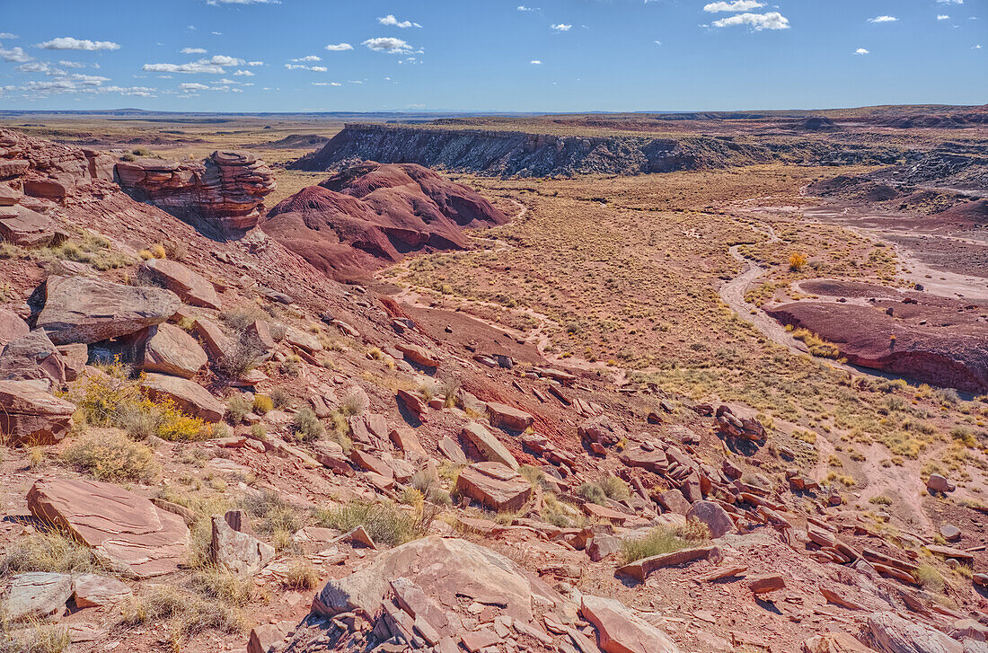 Ein unbenannter Canyon, der in den Dead Wash mündet, Petrified Forest National Park, Arizona, Vereinigte Staaten von Amerika