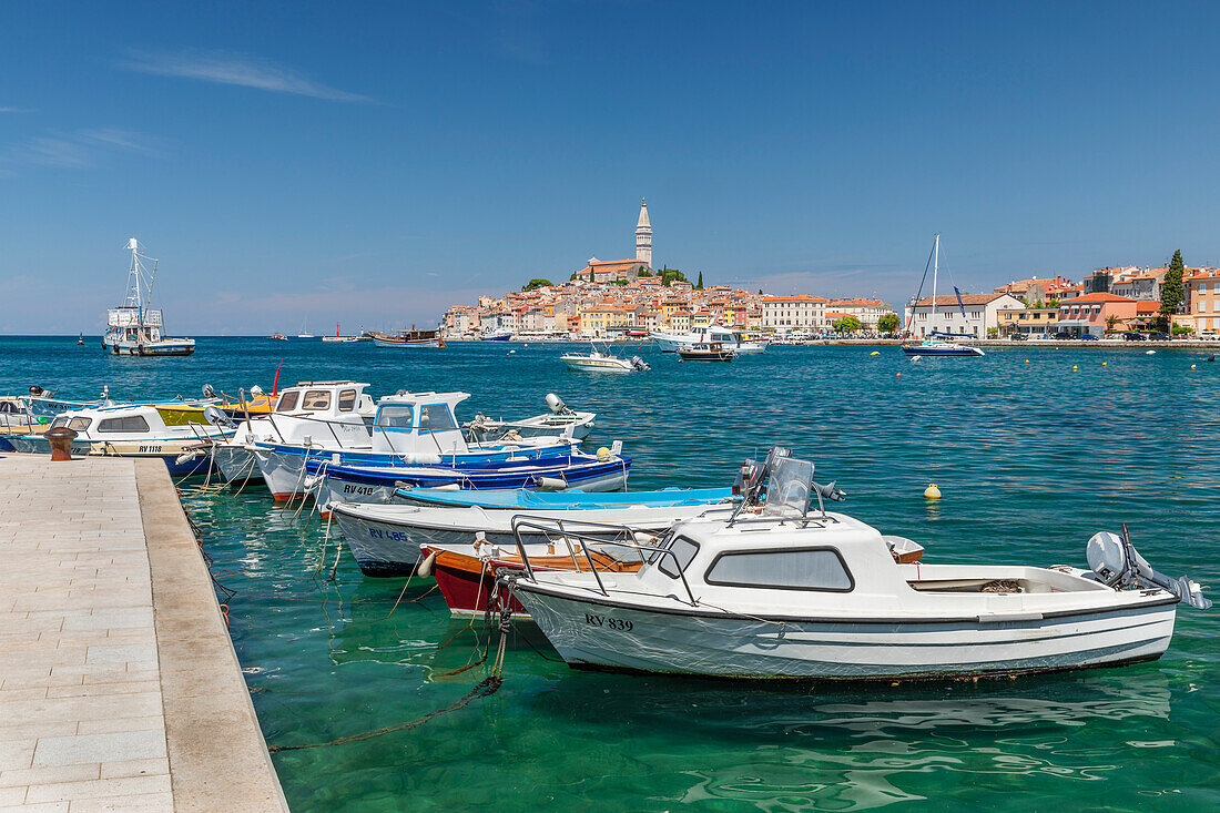 Blick vom neuen Hafen auf die Altstadt mit der Kathedrale der Hl. Euphemia, Rovinj, Istrien, Kroatien