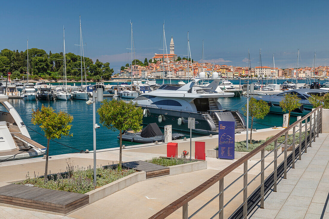 Blick vom neuen Hafen auf die Altstadt mit der Kathedrale der Hl. Euphemia, Rovinj, Istrien, Kroatien