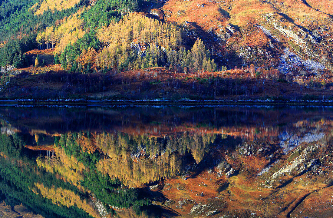 Reflection detail, Glenshiel, Highlands, Scotland, United Kingdom