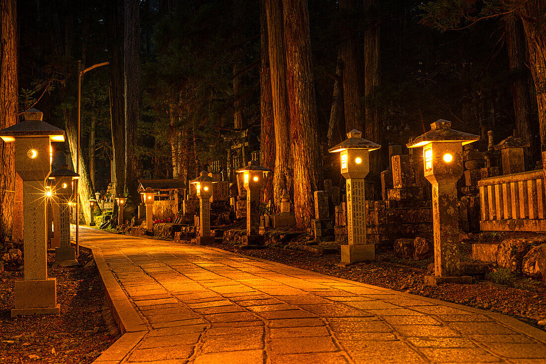 Steinlaternen im tiefen Wald von Koyasan bei Nacht, Buddhistischer Friedhof von Oku-no-in, Koyasan (Koya-san), Kansai, Honshu, Japan