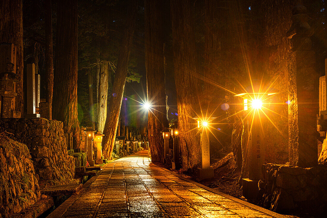 Steinlaternen im tiefen Wald von Kyosan bei Nacht, buddhistischer Friedhof von Oku-no-in, Koyasan (Koya-san), Kansai, Honshu, Japan