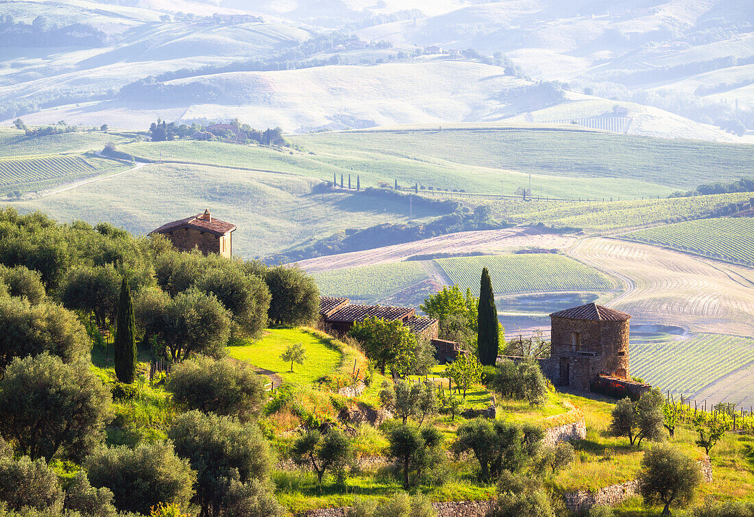 Belvedere di Montalcino, UNESCO, Provinz Siena, Toskana, Italien