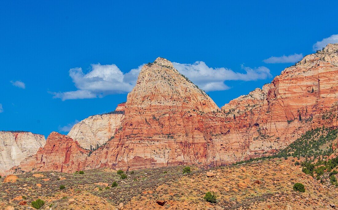 Watchman Mountain, 6545 ft, in der Nähe von Springdale, Utah, Vereinigte Staaten von Amerika