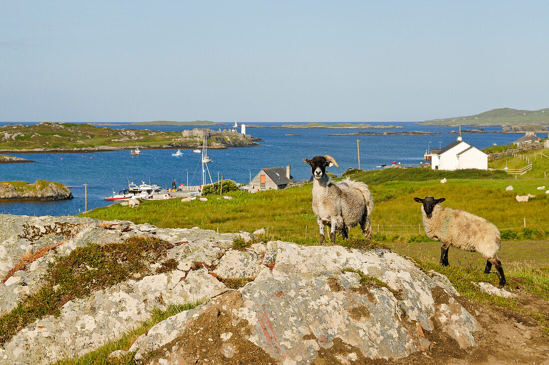 Inishbofin island, Connemara, County Galway, Connacht, Republic of Ireland