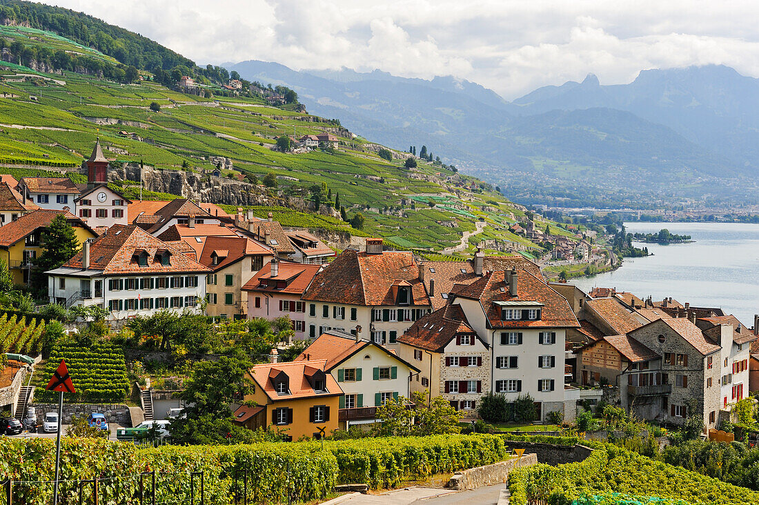 Dorf Rivaz inmitten der Weinbergterrassen des Lavaux am Ufer des Lac Léman, in der Nähe von Lausanne, Kanton Waadt, Schweiz