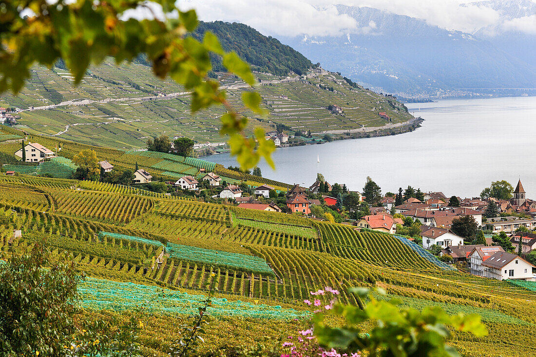 Dorf Cully in den Weinbergterrassen des Lavaux am Ufer des Lac Léman, in der Nähe von Lausanne, Kanton Waadt, Schweiz