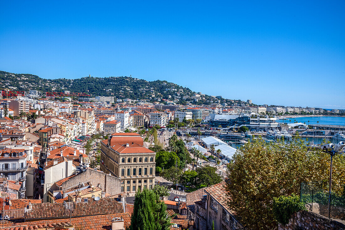 Panoramablick auf Cannes vom Hügel von Le Suquet (Altstadt), Cannes, Alpes-Maritimes, Côte d'Azur, Frankreich