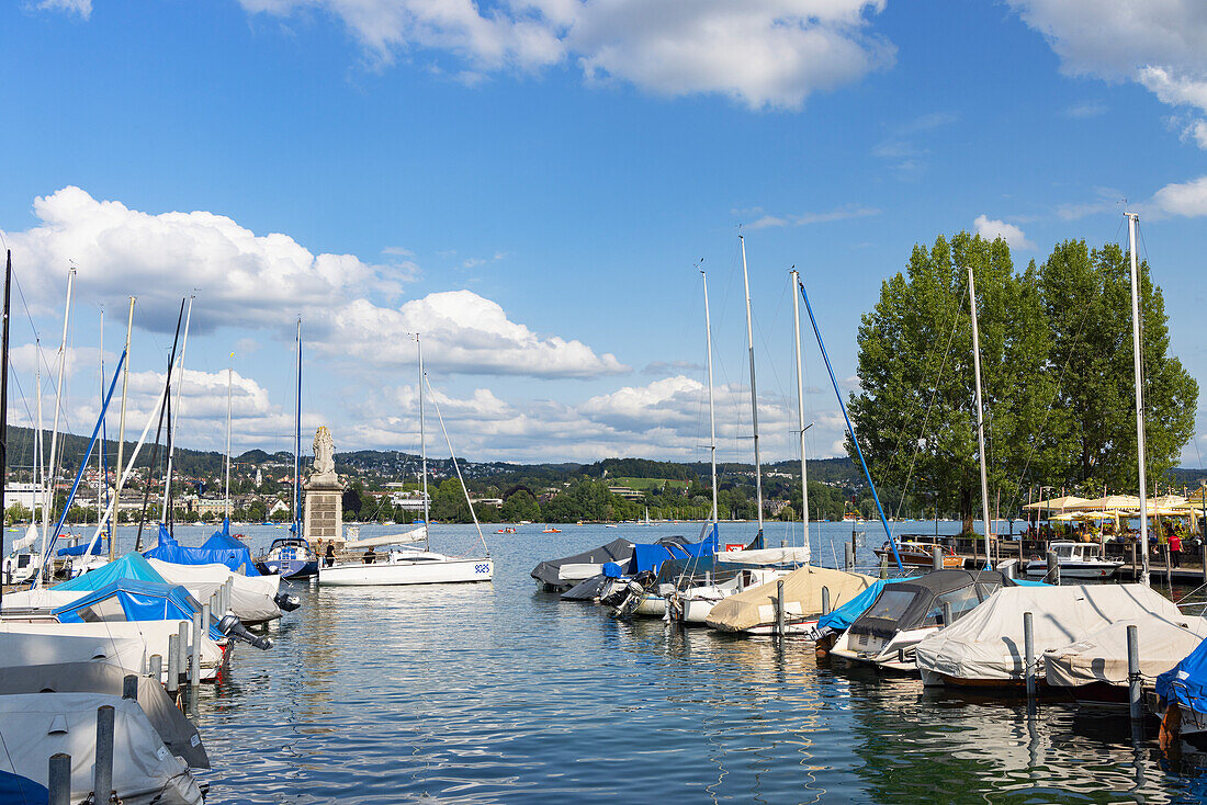 Yachten auf dem Zürichsee, Zürich, Schweiz