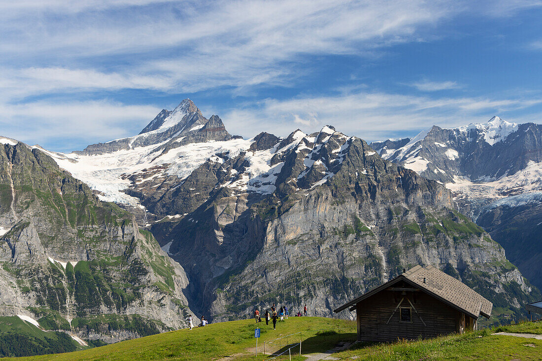 Cabin on First mountain with Shreckhorn mountain in the background, First, Jungfrau Region, Bernese Oberland, Switzerland