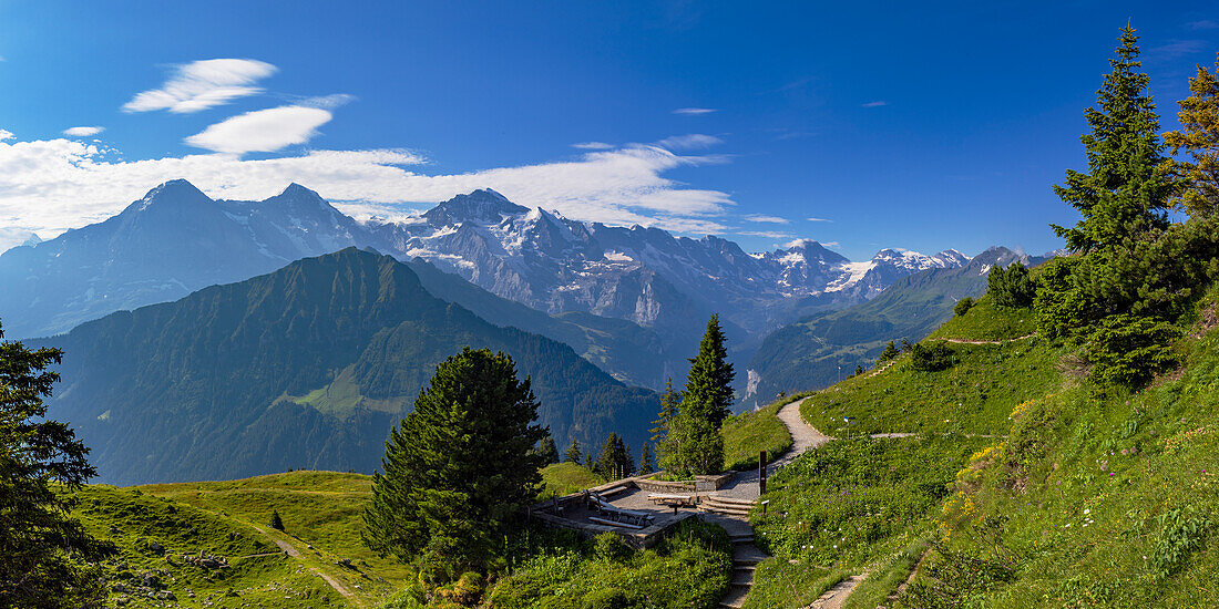 View of Jungfrau, Monch and Eiger mountains from Schynige Platte Botanical Gardens, Jungfrau Region, Bernese Oberland, Switzerland