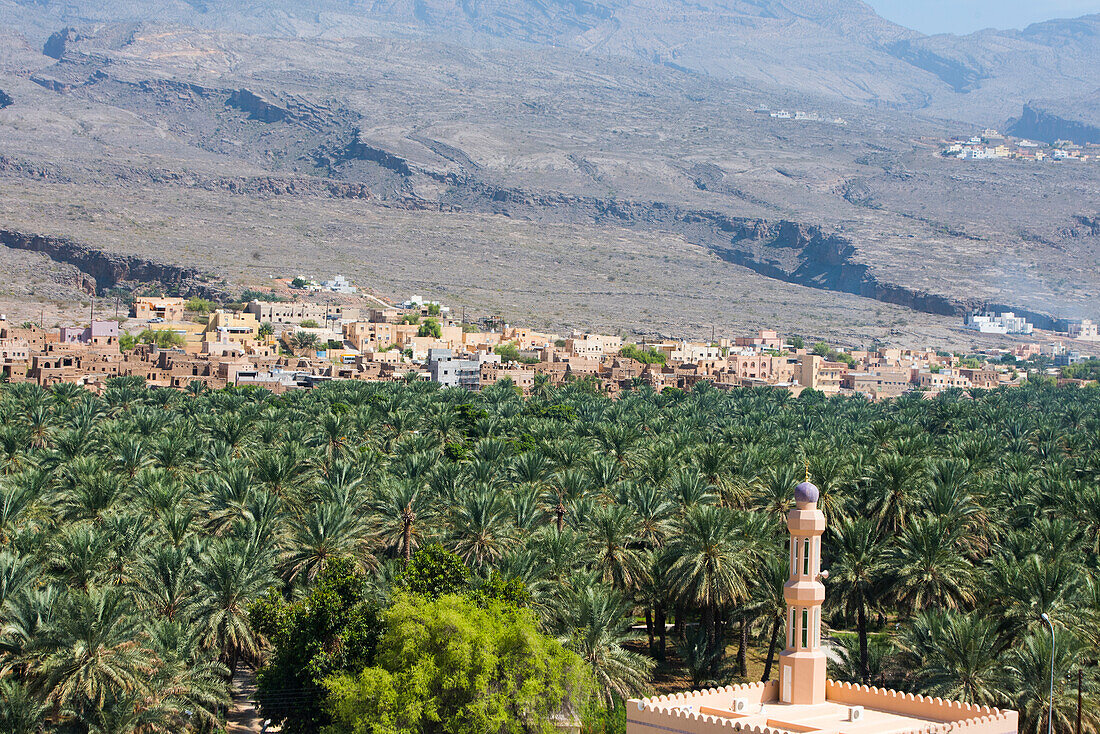 Al-Hamra village and the palm grove, a 400-year-old town in the region Ad Dakhiliyah, Akhdar Mountains, Sultanate of Oman, Arabian Peninsula