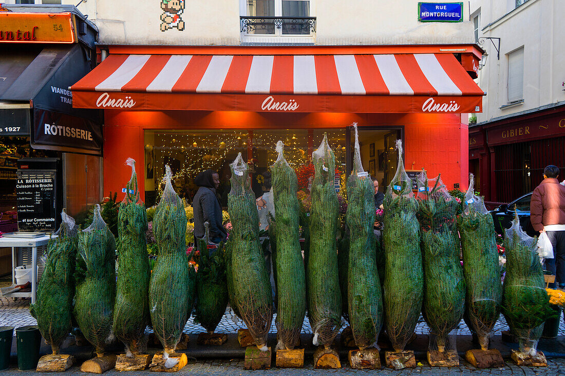 Weihnachtsbäume zum Verkauf in einem Blumenladen in der Rue Montorgueil, Paris, Frankreich