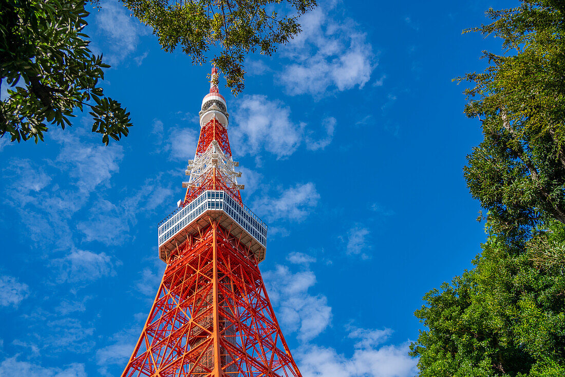 View of Tokyo Tower from its base against blue sky, Shibakoen, Minato City, Tokyo, Honshu, Japan