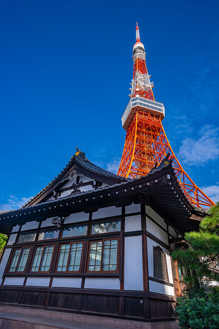 View of Tokyo Tower and Shinkoin Buddhist Temple against blue sky, Shibakoen, Minato City, Tokyo, Honshu, Japan