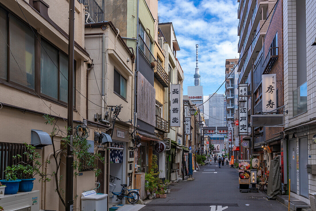 Bunte Geschäfte und Gebäude mit dem Tokyo Skytree im Hintergrund, Asakusa, Taito City, Tokio, Honshu, Japan