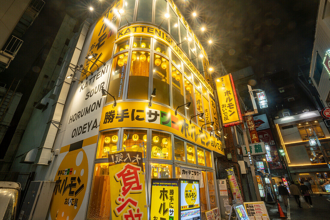 View of Kabukicho neon lit street at night, Shinjuku City, Kabukicho, Tokyo, Honshu, Japan