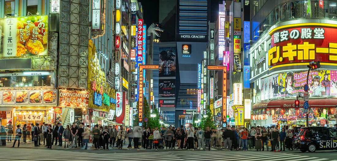 View of Godzilla's head and Kabukicho neon lit street at night, Shinjuku City, Kabukicho, Tokyo, Honshu, Japan