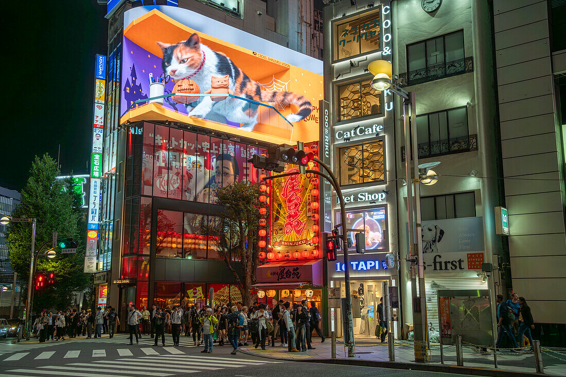 Blick auf eine riesige 3D-Katze und eine neonbeleuchtete Straße in Kabukicho bei Nacht, Shinjuku City, Kabukicho, Tokio, Honshu, Japan