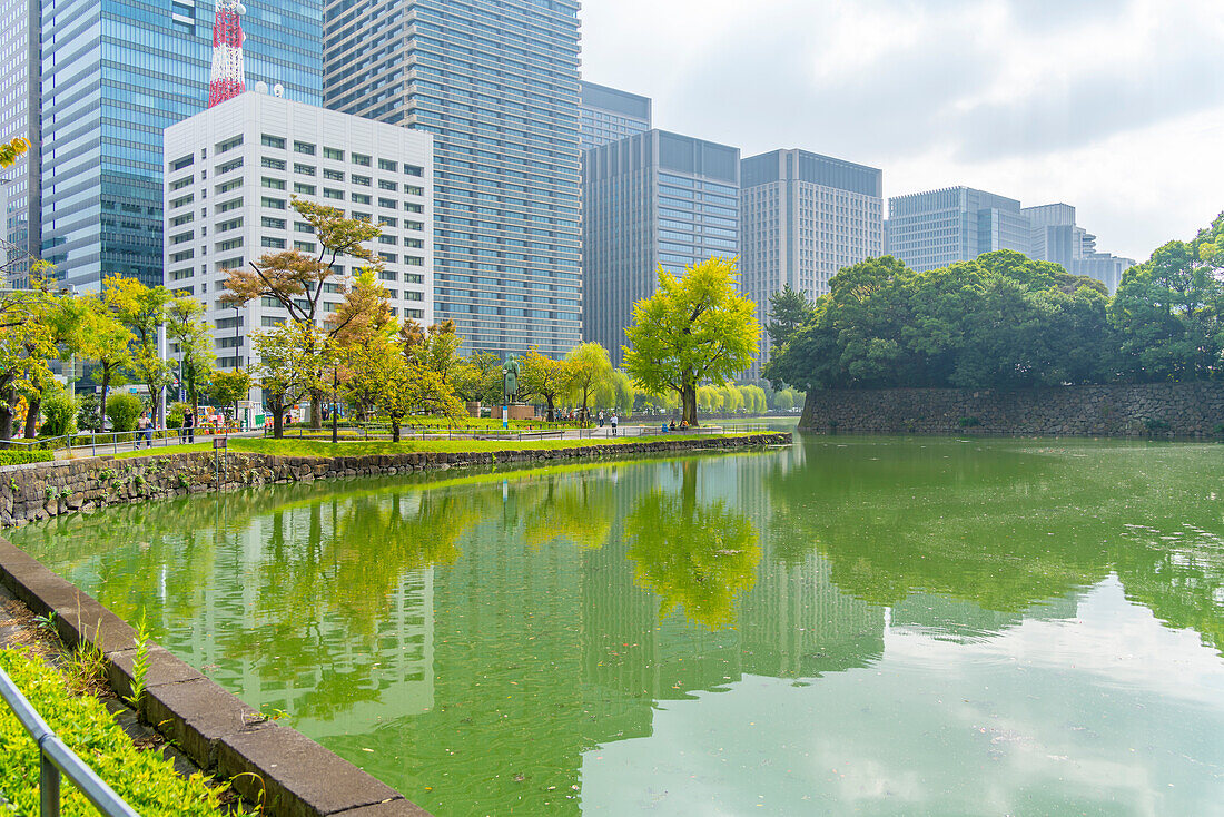 View of city buildings reflecting in Ote-bori Moat, The East Gardens of the Imperial Palace, Chiyoda, Tokyo, Honshu, Japan