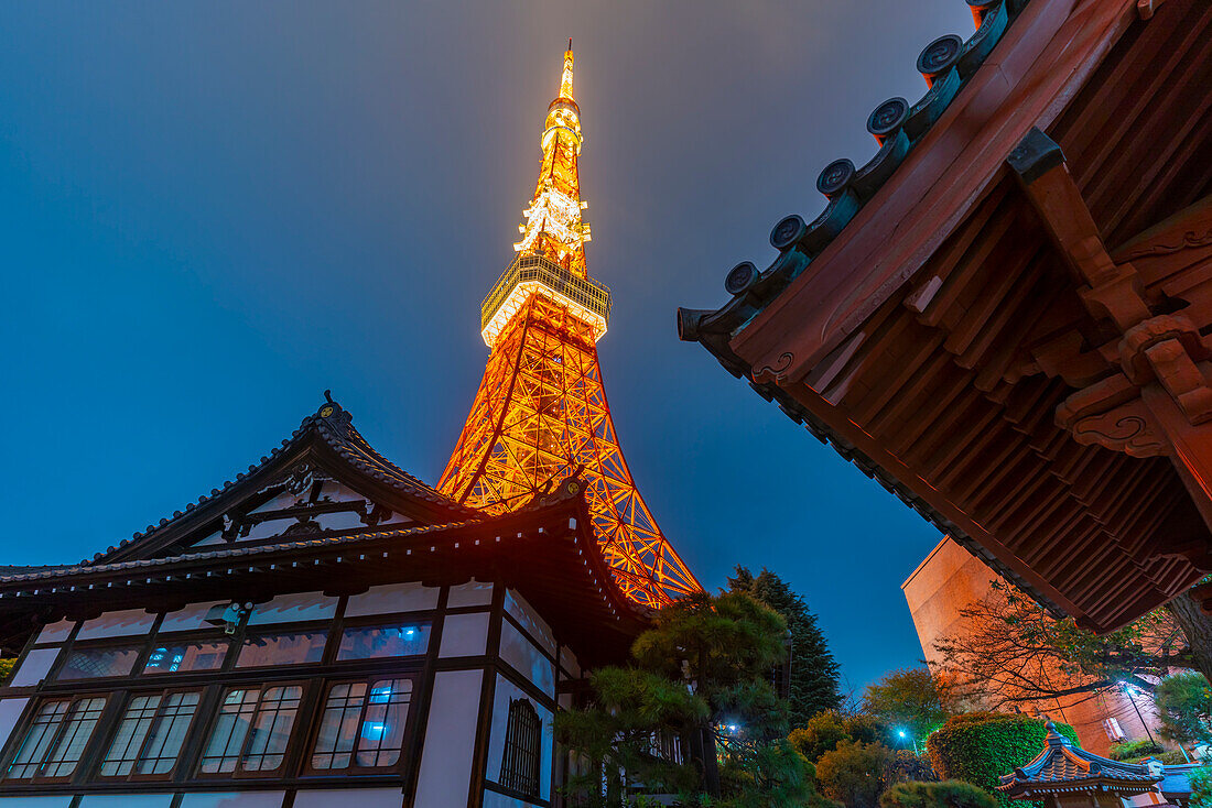 View of Tokyo Tower and Rurikoji Buddhist Temple at night, Minato City, Tokyo, Honshu, Japan