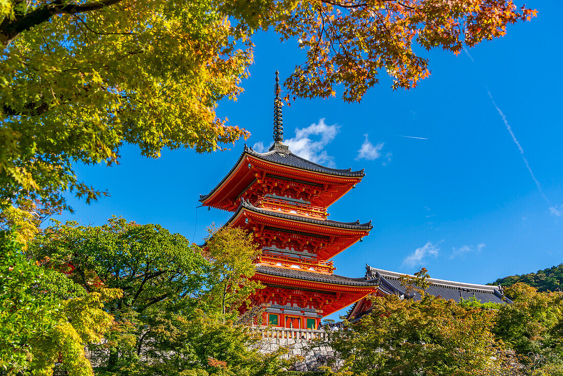 View of Kiyomizu-dera Temple and trees with autumn colours, UNESCO, Kiyomizu, Higashiyama Ward, Kyoto, Honshu, Japan