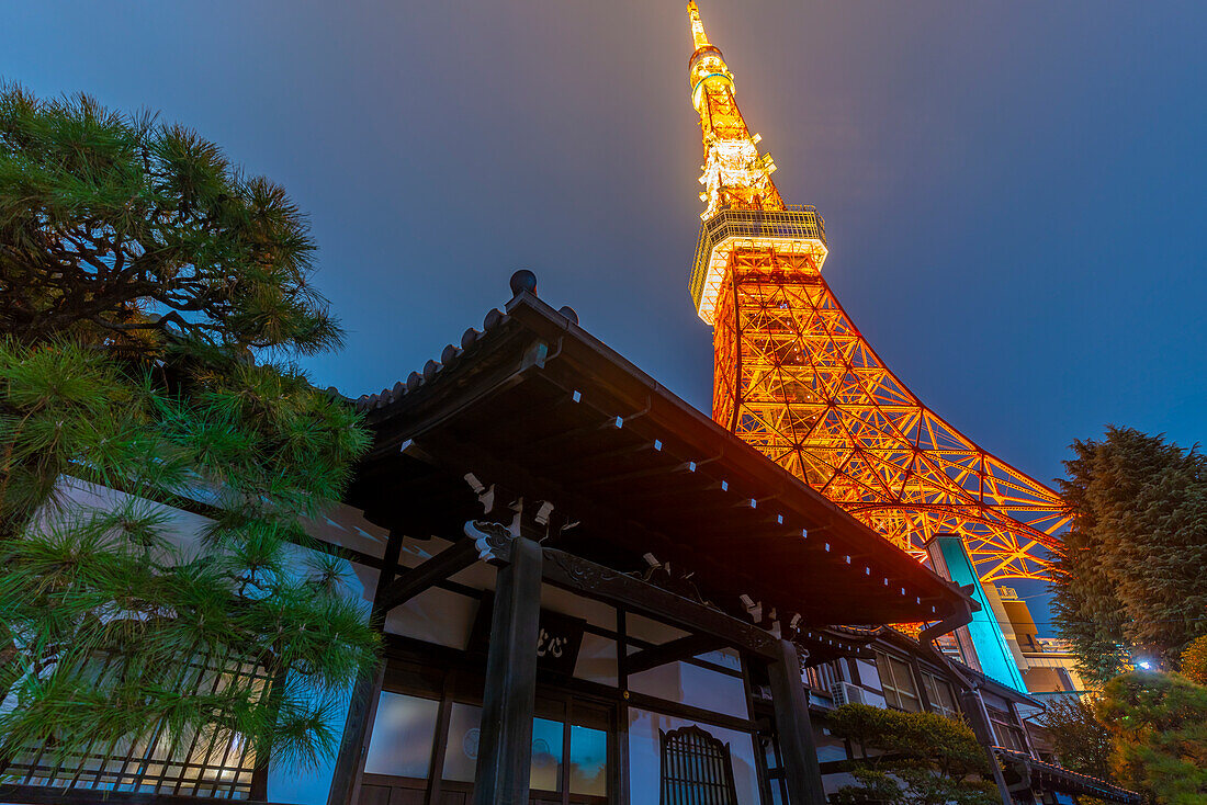 View of Tokyo Tower and Rurikoji Buddhist Temple at night, Minato City, Tokyo, Honshu, Japan