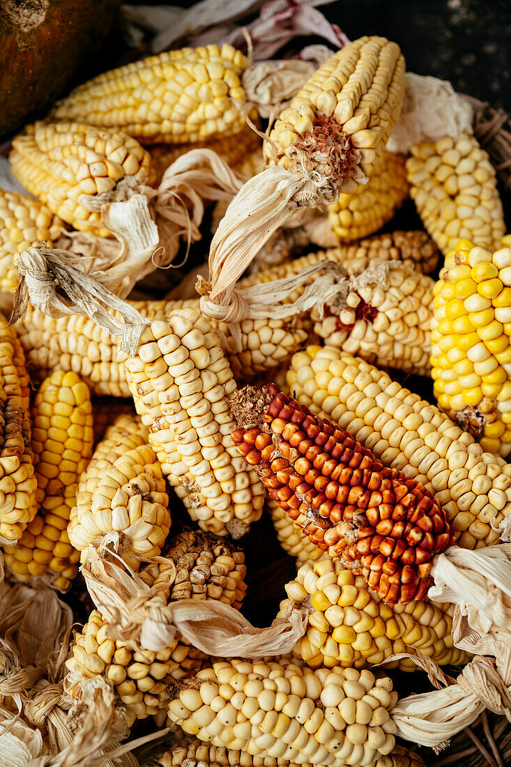 Corn cobs, Chilco Community, Angochagua Parochia, Imbabura Province, Ecuador